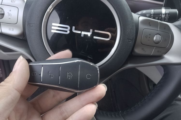 比亚迪 海豚 2023款 420km 时尚版中控内饰7001