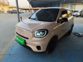 零跑汽车 零跑T03 2023款 310轻享版