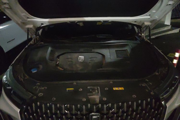 奔腾T99 2020款 20TD 自动尊享型局部细节24