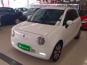 欧拉黑猫 2021款 351km 标准型