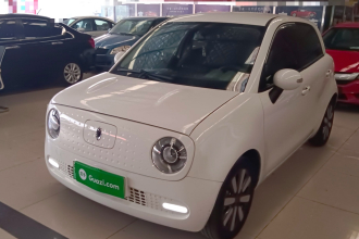 欧拉黑猫 2021款 351km 标准型