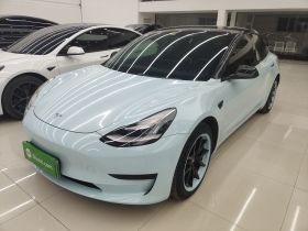 特斯拉 Model 3 2020款 改款 标准续航后驱升级版
