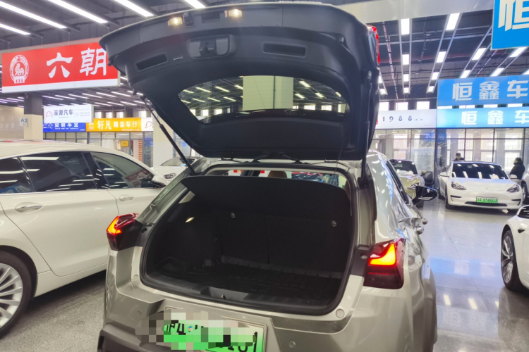 雷克萨斯UX新能源 2020款 300e 纯·悦版局部细节23