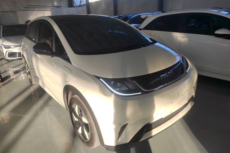 比亚迪 海豚 2024款 荣耀版 420km 时尚版车身外观3