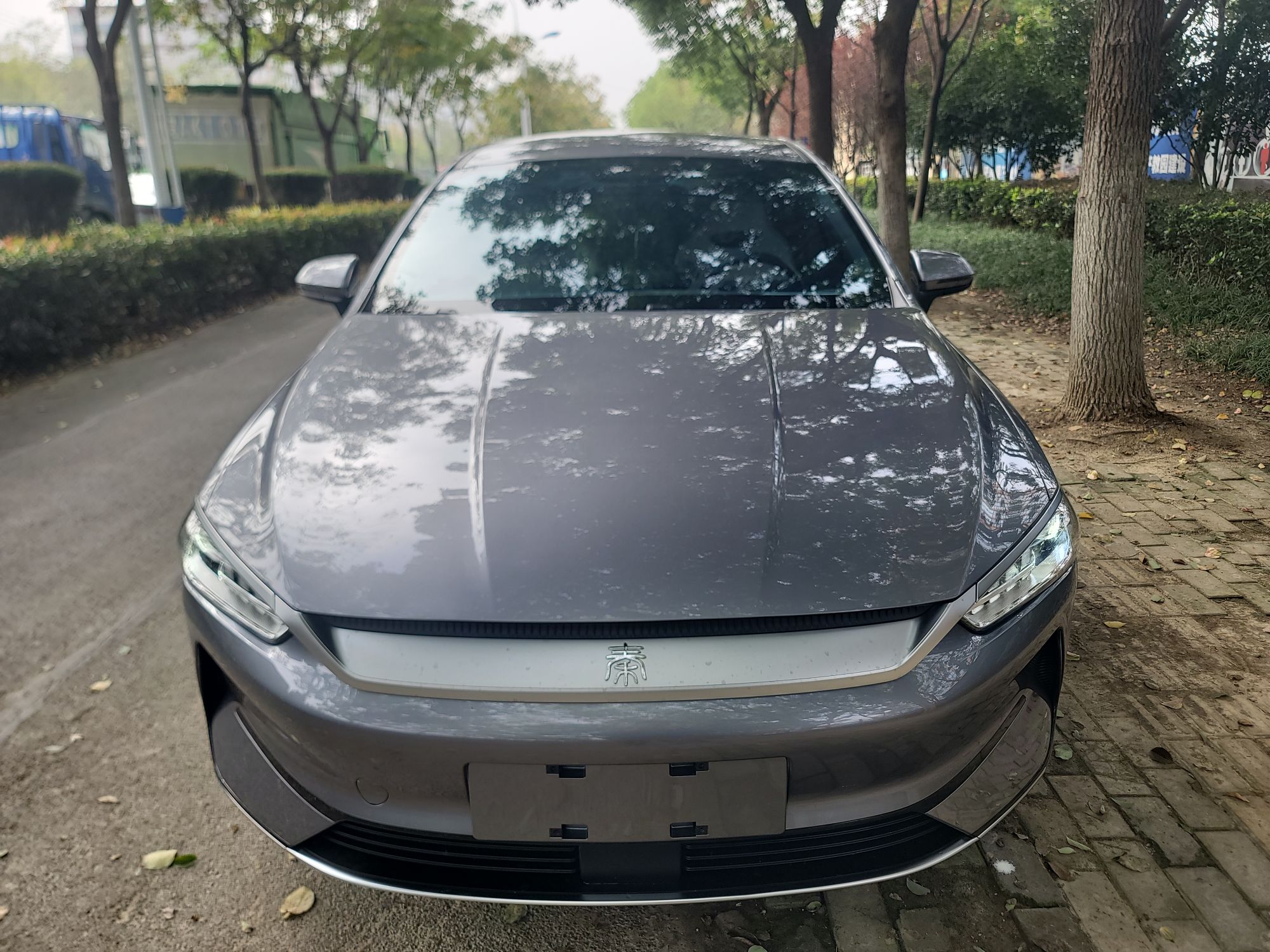 比亚迪 秦PLUS 2024款 荣耀版 EV 420KM领先型