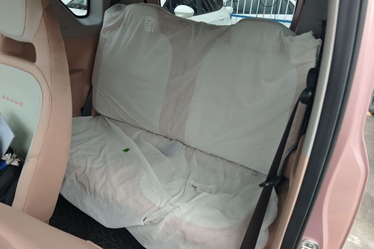 吉利银河 2024款 改款 熊猫mini 200km 龙腾版中控内饰21