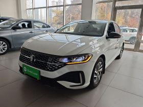 大众 朗逸 2024款 300TSI DSG星空领先版