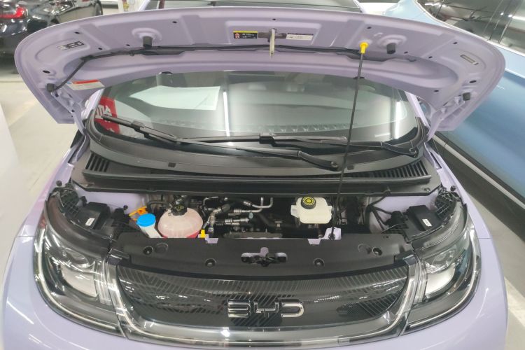 比亚迪 海豚 2024款 荣耀版 420km 时尚版局部细节24