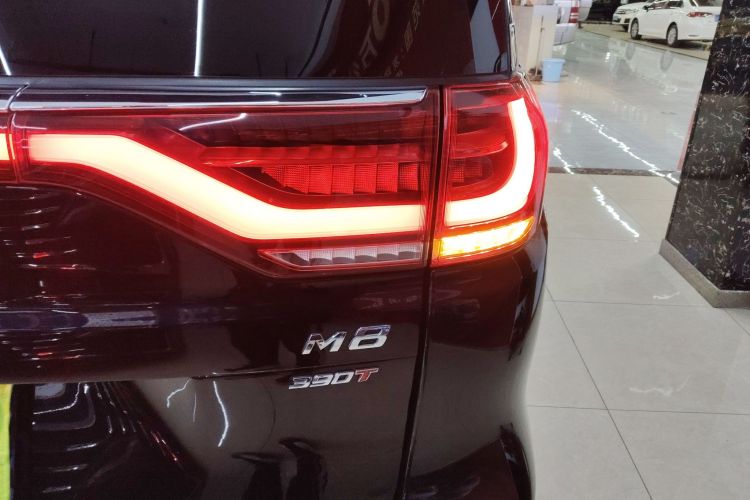 广汽传祺 传祺M8 2023款 大师系列 390T 至尊版车身外观9