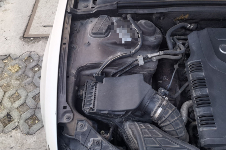 奥迪A5 2012款 2.0TFSI Coupe quattro局部细节9006