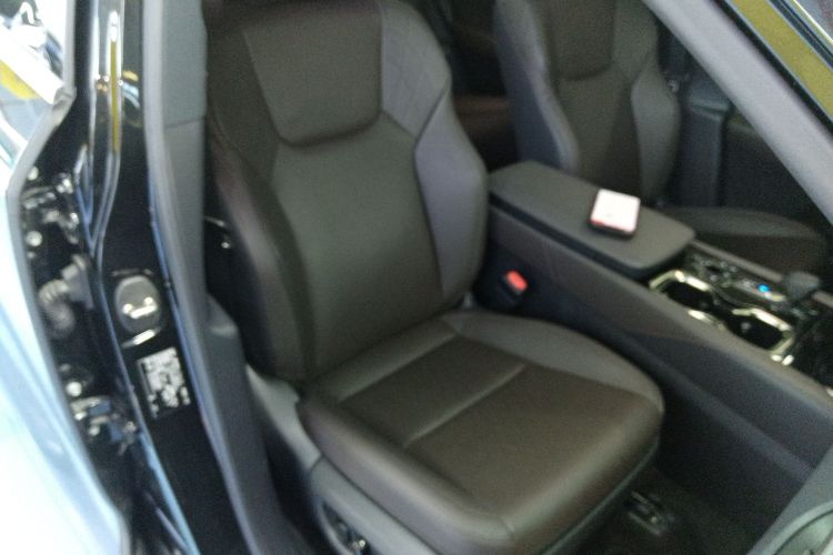 雷克萨斯RX 2023款 350h 四驱醇享版局部细节41