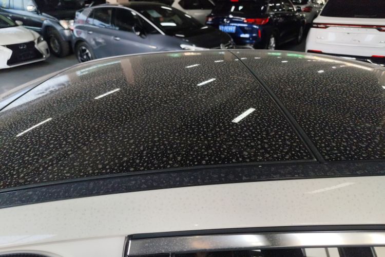 奔驰E级 2020款 E 300 L 运动豪华型局部细节57