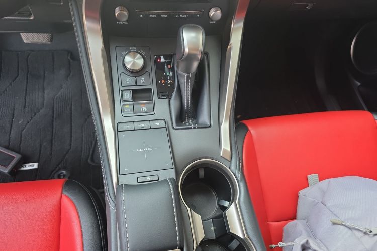 雷克萨斯NX 2020款 200 前驱 锋行版 国VI局部细节18