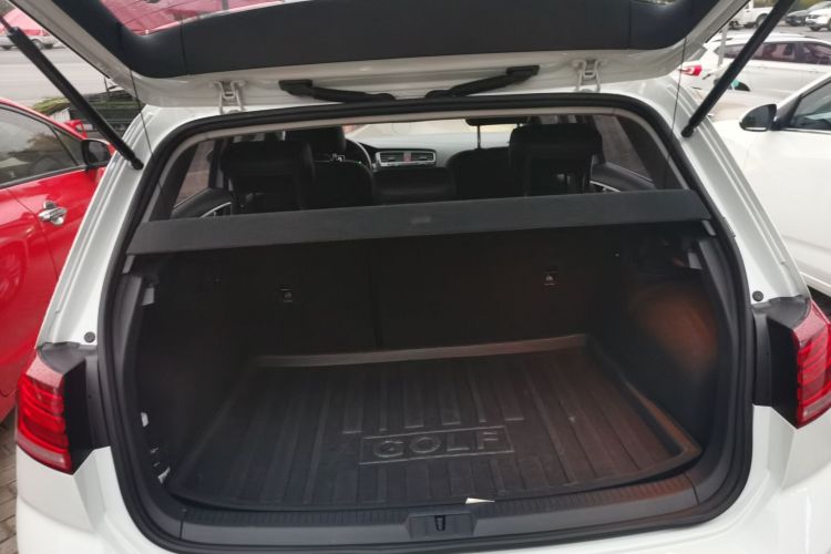 大众 高尔夫 2019款 1.6L 自动舒适型 国V机舱底盘23