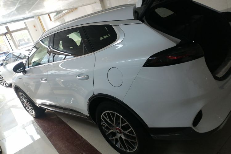 腾势X 2020款 PHEV经典版车身外观6003