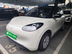 五菱汽车 五菱缤果 2024款 203km 轻享款