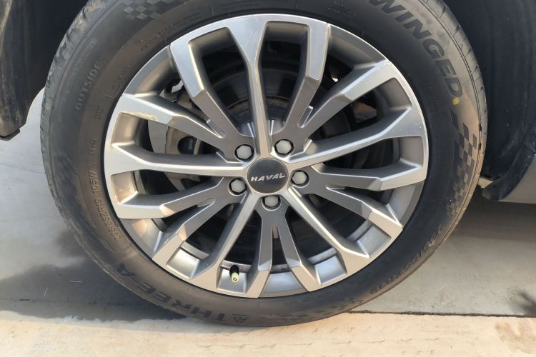 哈弗H6 2020款 2.0GDIT 自动铂金豪华版车身外观6008