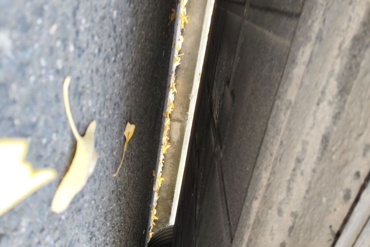 零跑汽车 零跑C11 2021款 尊享版局部细节9004