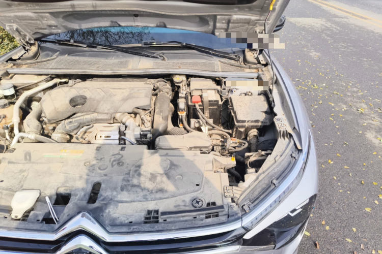 雪铁龙 凡尔赛C5 X 2021款 1.6T 耀不凡局部细节9007