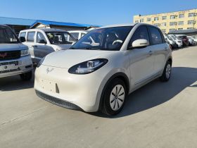 五菱汽车 五菱缤果 2023款 203km 轻享款