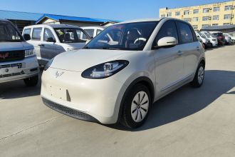 五菱汽车 五菱缤果 2023款 203km 轻享款