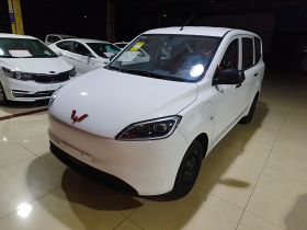 五菱汽车 五菱宏光新能源 2024款 纯电版 300KM 标准型