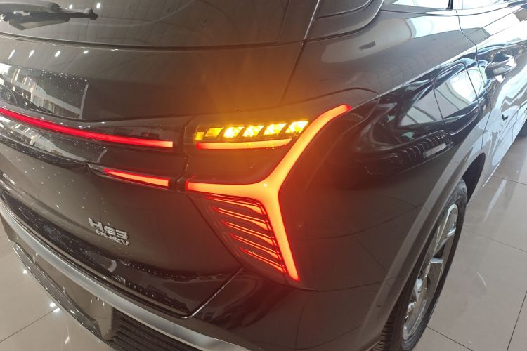 红旗HS3 PHEV 2024款 PHEV 115km 劲为版车身外观9