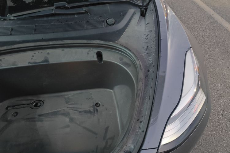 特斯拉 Model 3 2019款 标准续航后驱升级版局部细节9007