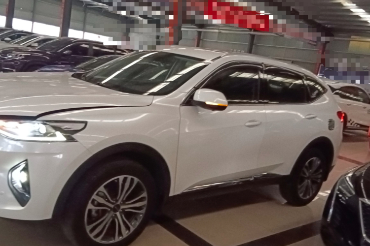 哈弗F7 2019款 2.0T 两驱i范 国V车身外观4