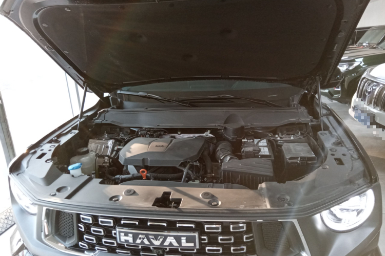 哈弗大狗 PLUS 2023款 2.0T 两驱潮野版Plus局部细节24