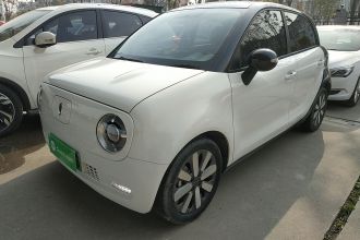 欧拉黑猫 2021款 351km 标准型