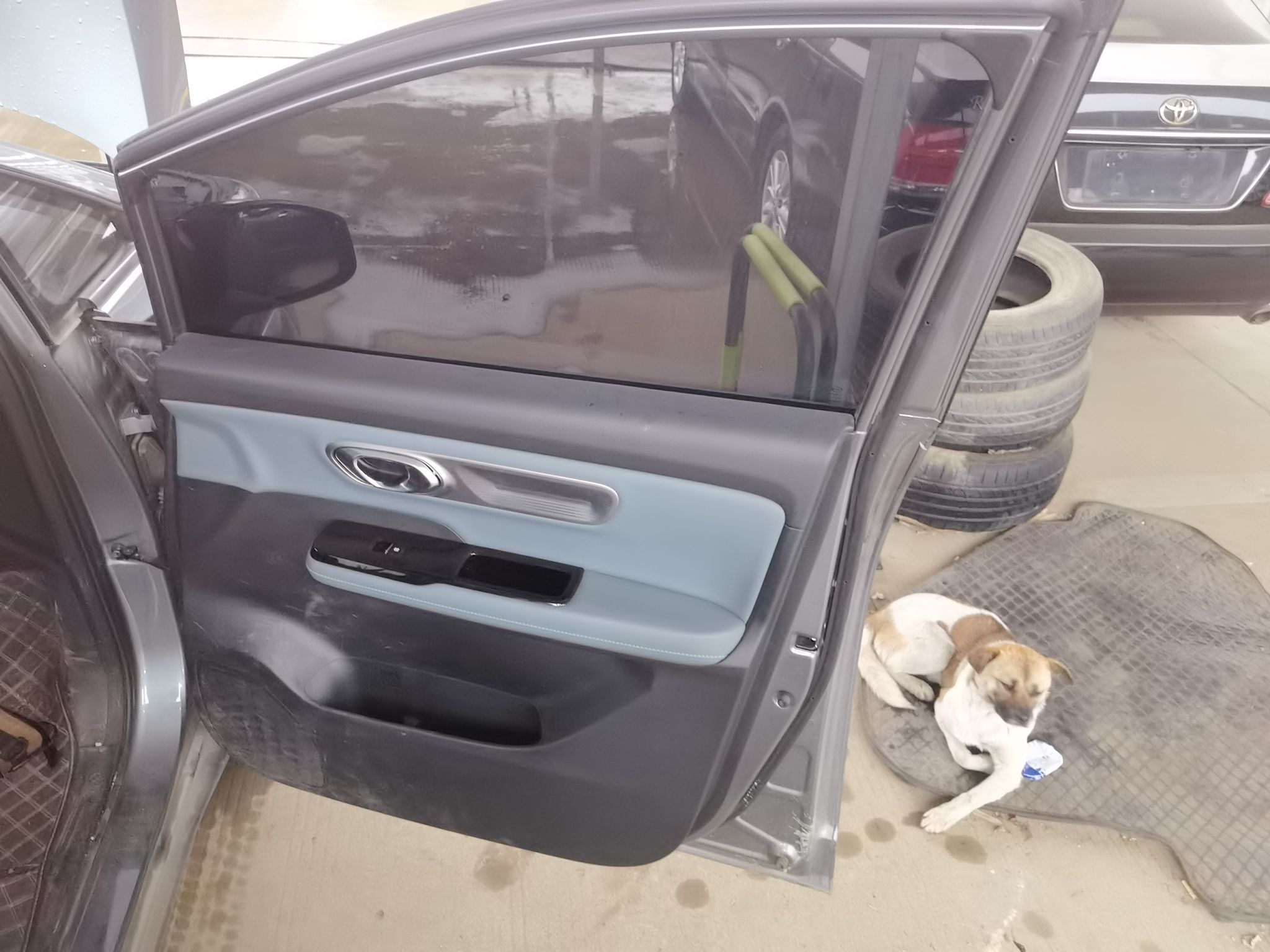 埃安 AION Y 2023款 Younger