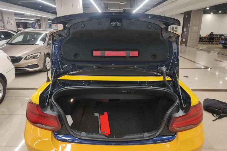 宝马2系(进口) 2018款 220i 敞篷轿跑车 运动设计套装局部细节23