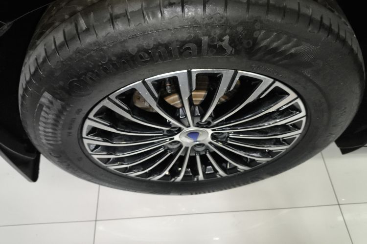 腾势D9 2022款 DM-i 970 四驱尊荣型车身外观6008