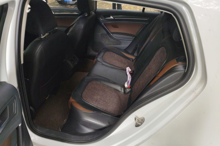 大众 高尔夫 2018款  230TSI 自动豪华型中控内饰7004