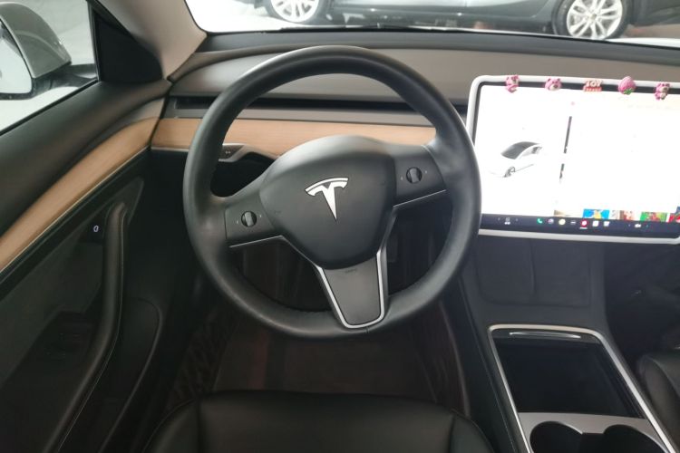 特斯拉 Model 3 2021款 改款 标准续航后驱升级版 3D1局部细节13