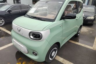 五菱汽车 宏光MINIEV 2024款 第三代 215km 青春版