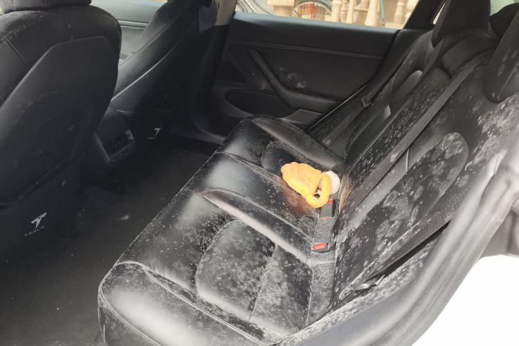 特斯拉 Model 3 2019款 标准续航后驱升级版中控内饰21