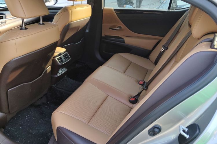 雷克萨斯ES 2018款 200 豪华版 国V中控内饰21