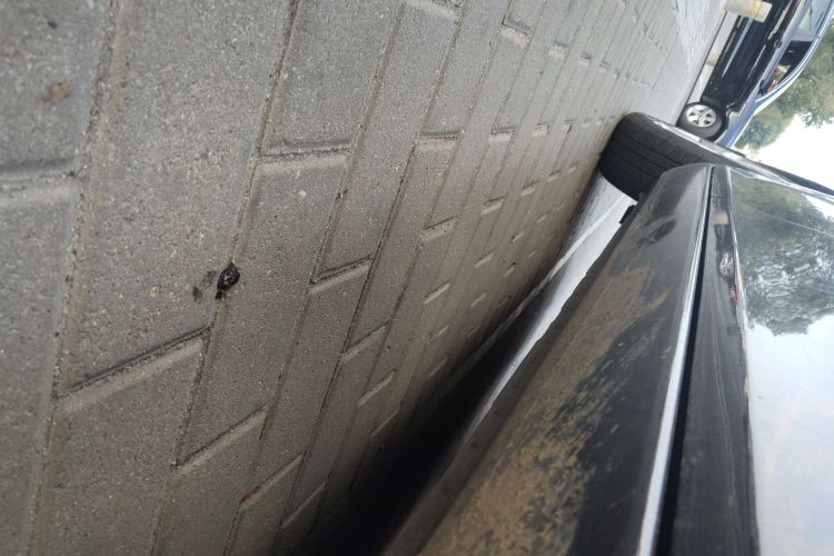 马自达6 2015款 2.0L 自动时尚型局部细节9001