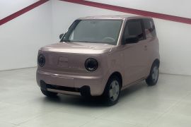 吉利银河 2023款 熊猫mini 200km 耐力熊