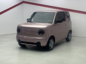 吉利银河 2023款 熊猫mini 200km 耐力熊