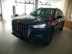 红旗HS5 2023款 2.0T 旗享Pro版