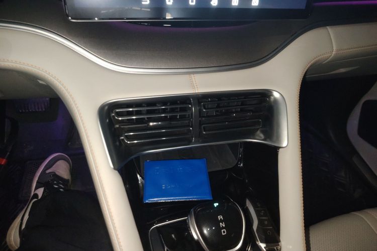 比亚迪 宋PLUS新能源 2021款 EV 旗舰型局部细节16