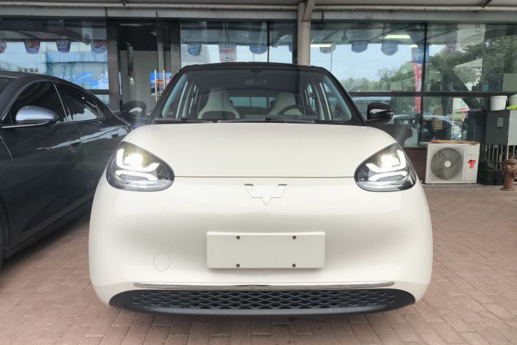 五菱汽车 五菱缤果 2024款 333km 灵犀互联款车身外观2