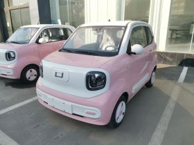 奔腾小马 2024款 170km 元气马