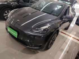 特斯拉 Model Y 2024款 长续航全轮驱动版