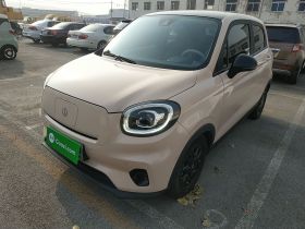 零跑汽车 零跑T03 2023款 403智享版