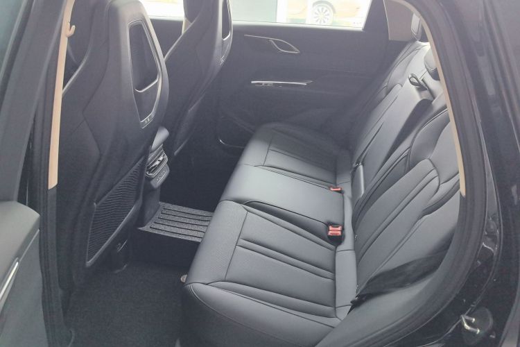 红旗HS3 PHEV 2024款 PHEV 115km 劲为版中控内饰21