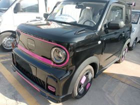 吉利银河 2025款 210km 熊猫卡丁